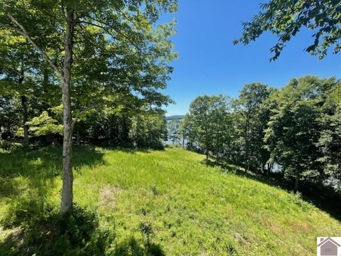 Dockable Waterfront Land Parcel