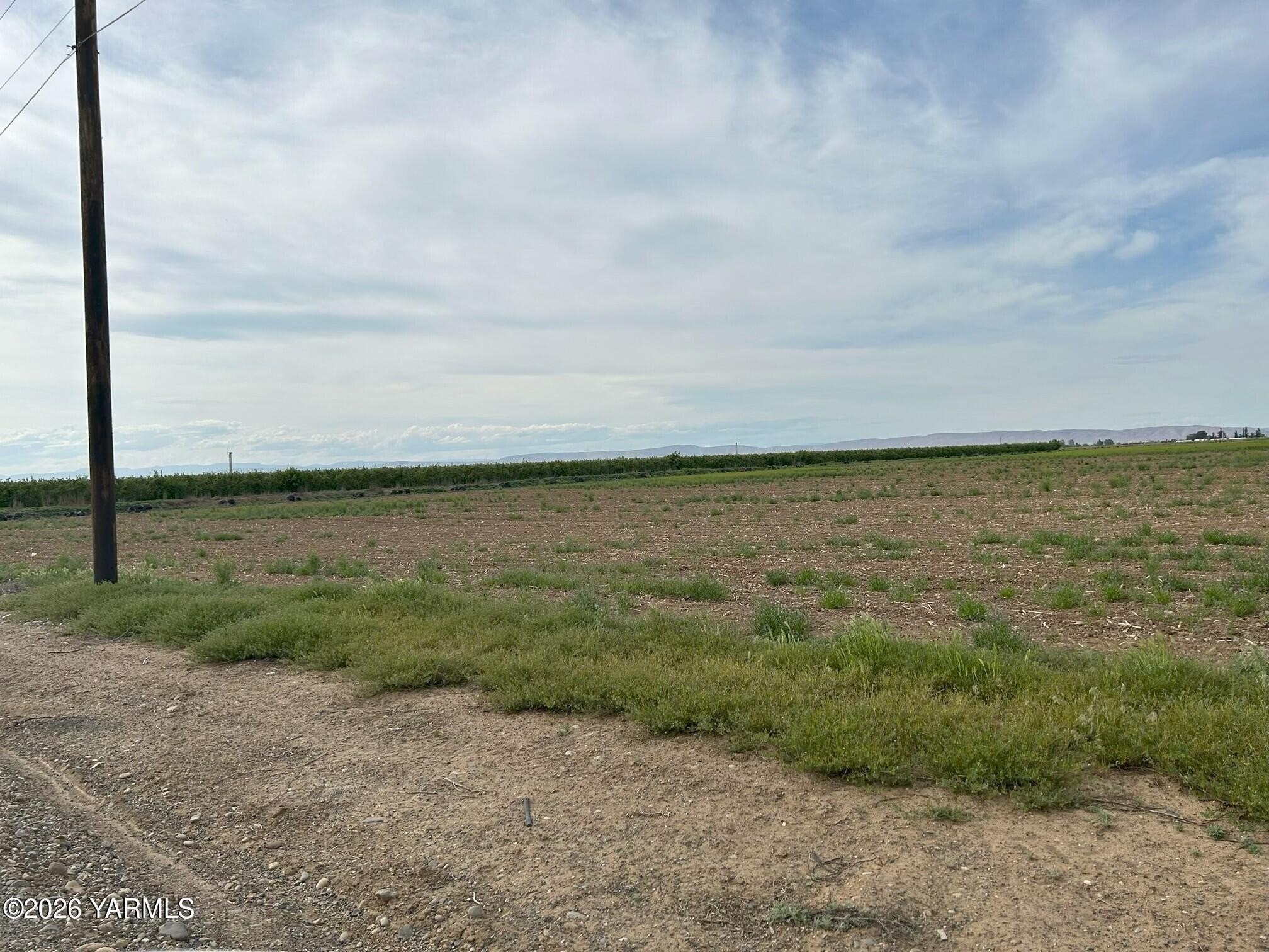 Wapato Farmland with Irrigation Well