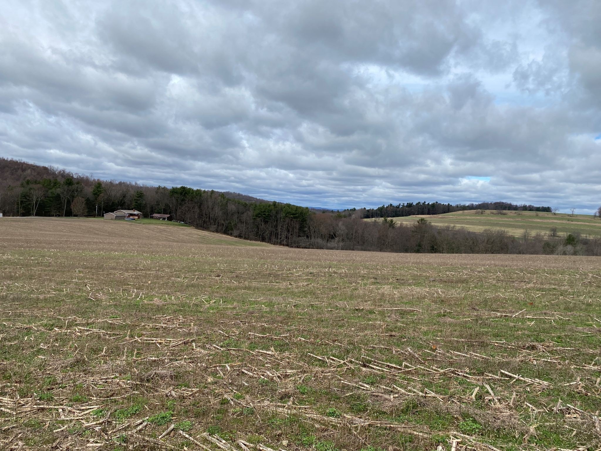 18-Acre Land in Cherry Tree