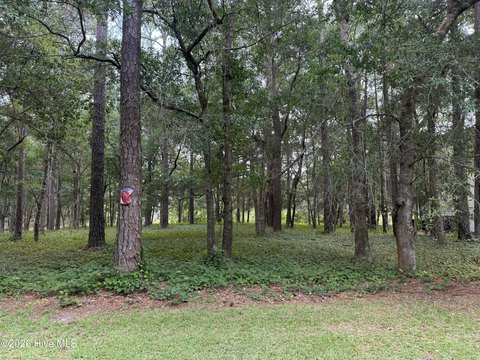 Land, Bolivia, NC