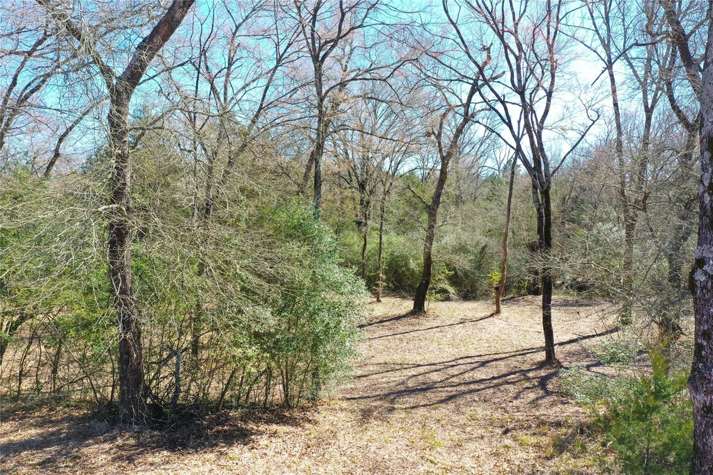 Picture 7