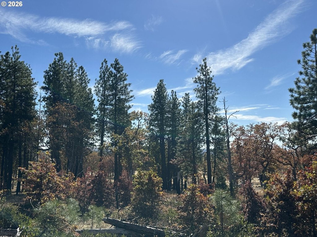Picture 25