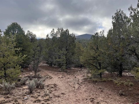 Ignacio, CO Land For Sale