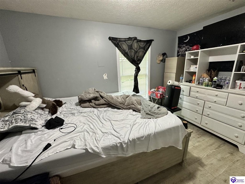 Picture 43