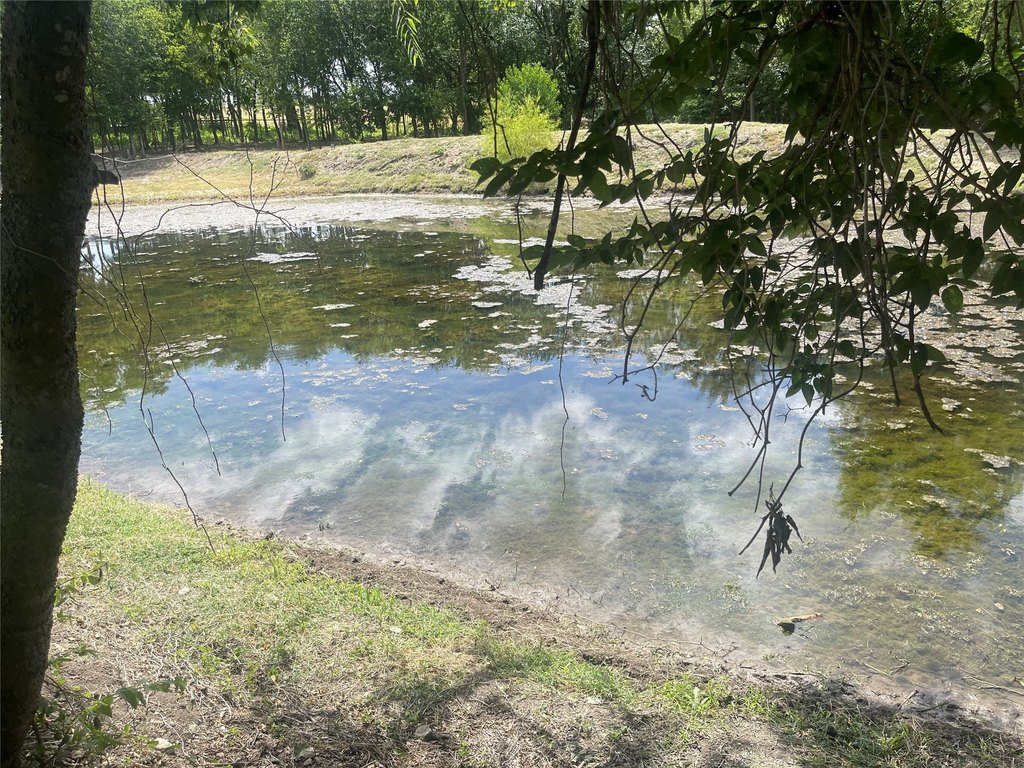 Picture 7