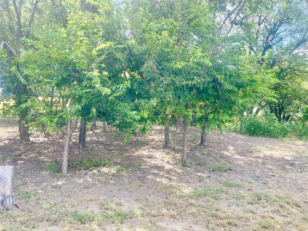 Picture 8