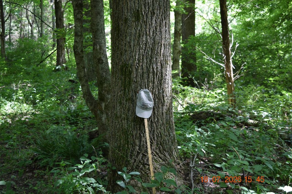 Picture 21