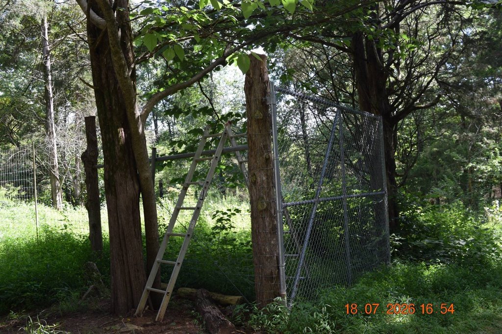 Picture 49