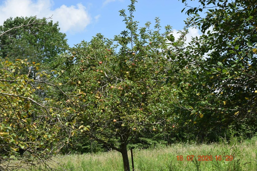 Picture 37