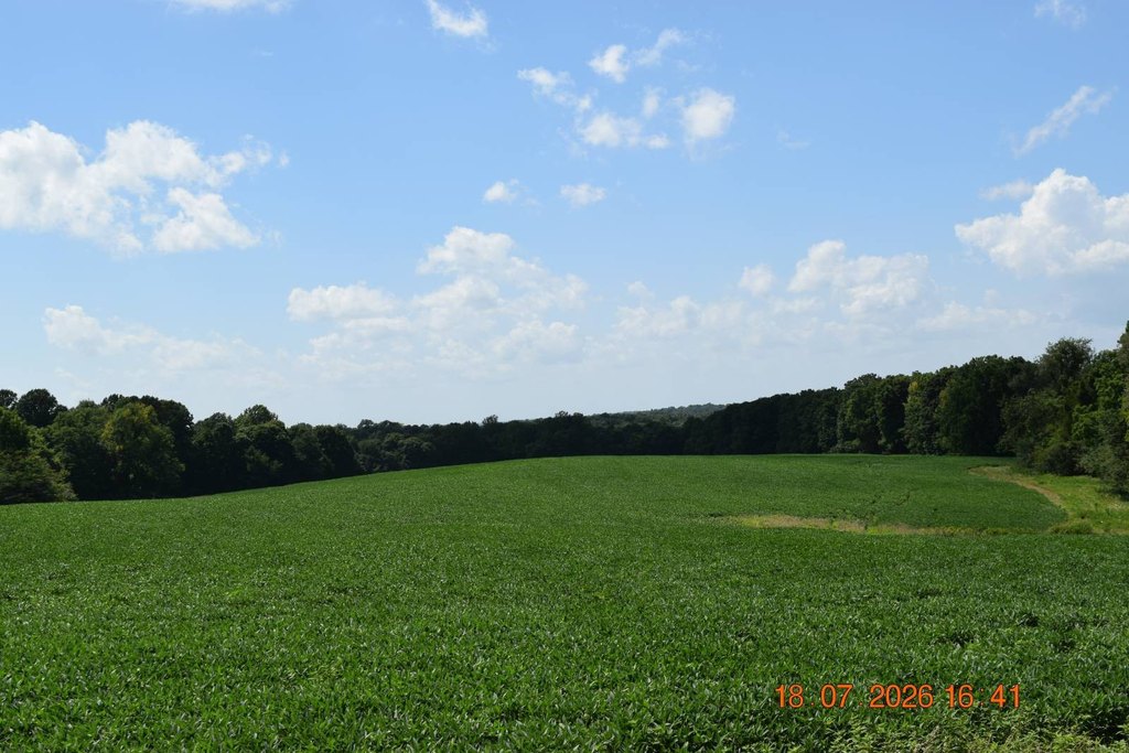 Picture 51