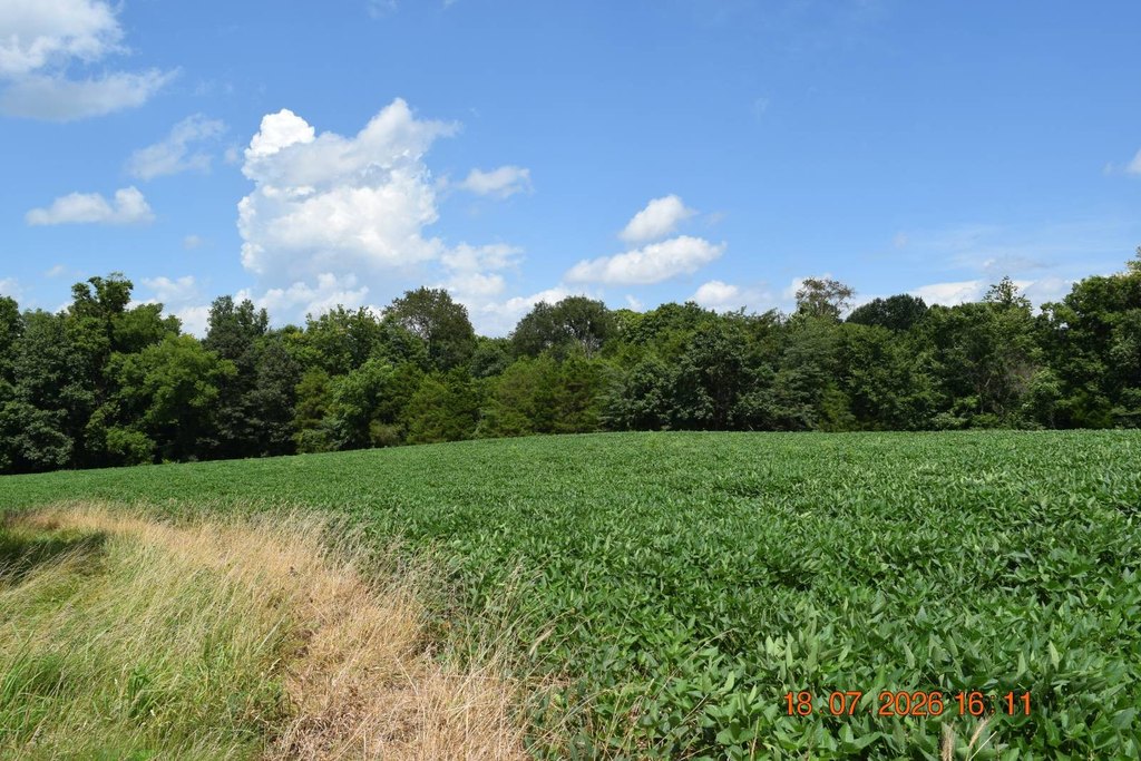 Picture 33