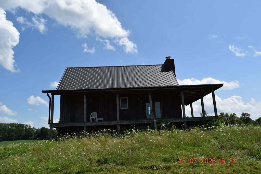 Picture 8