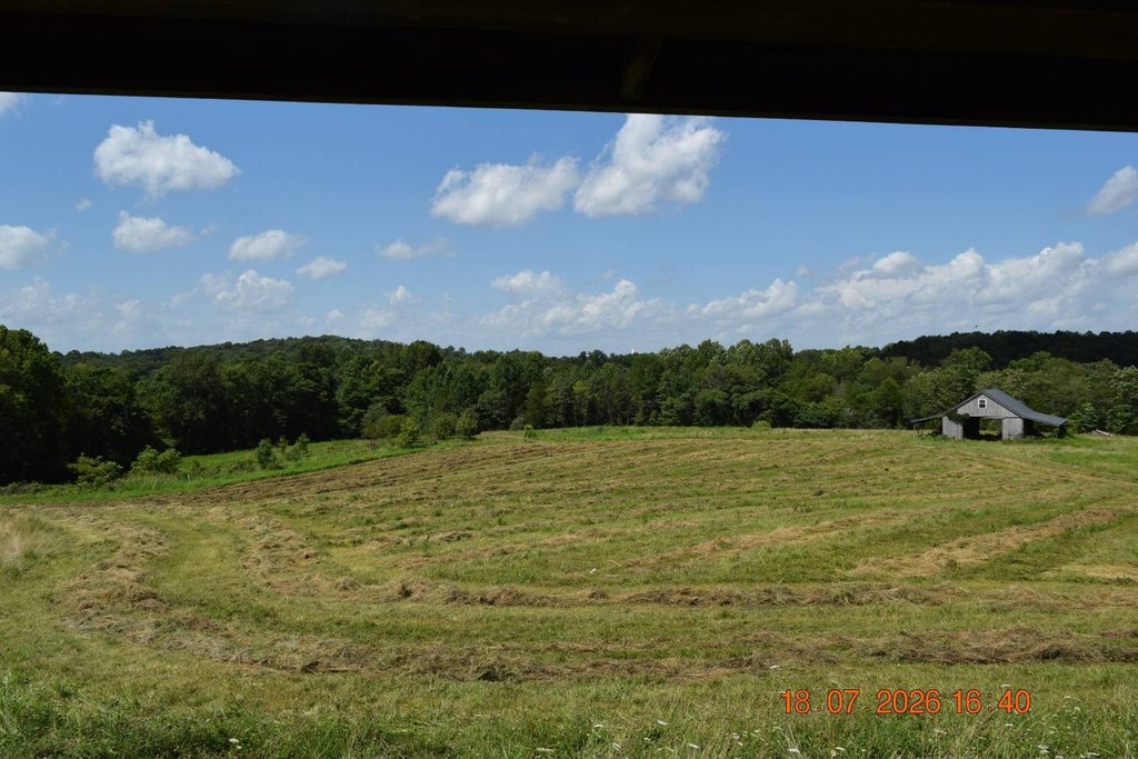 Picture 17