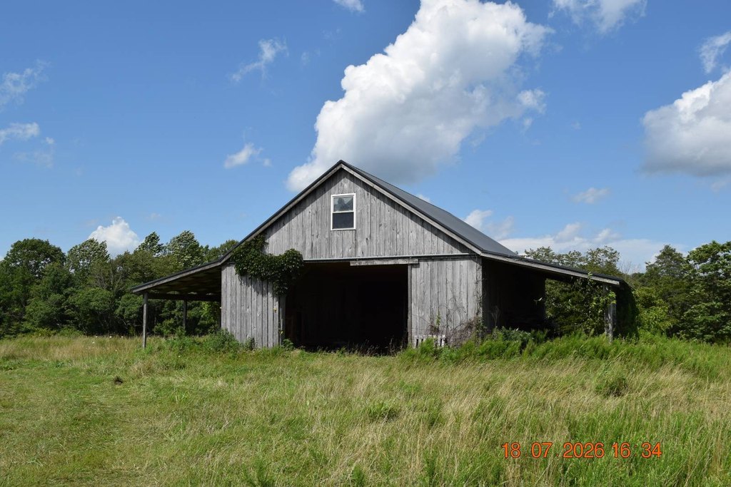 Picture 44