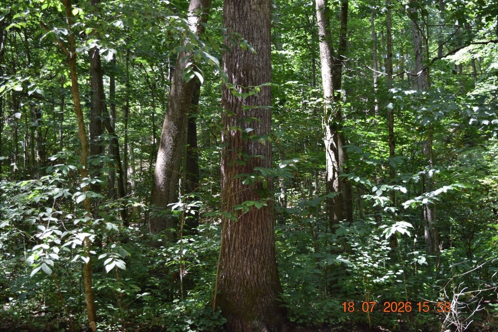 Picture 28