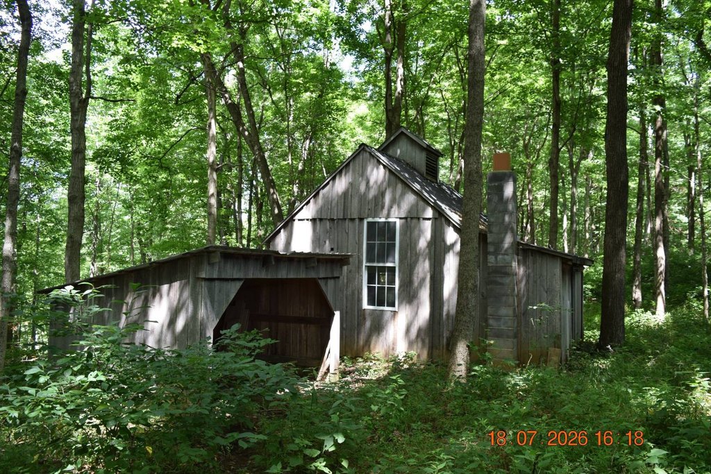 Picture 30