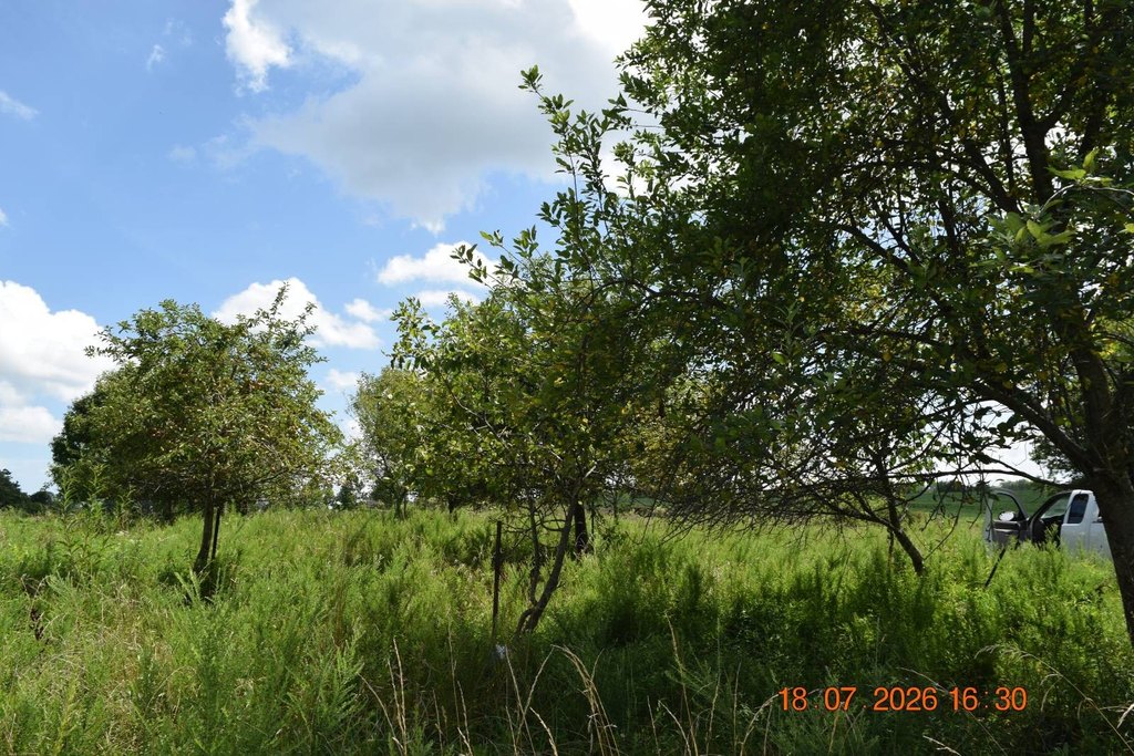 Picture 38