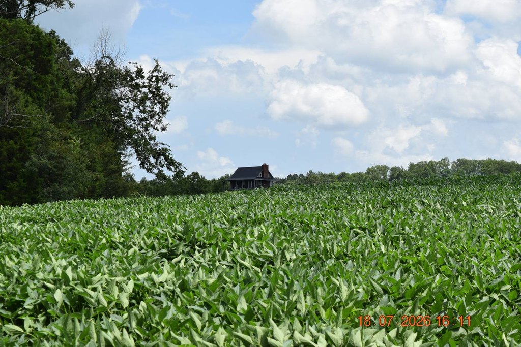 Picture 32