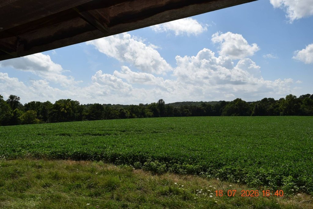 Picture 19