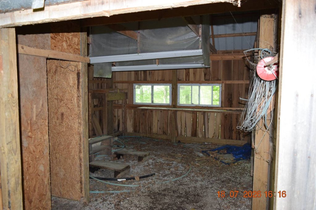 Picture 31