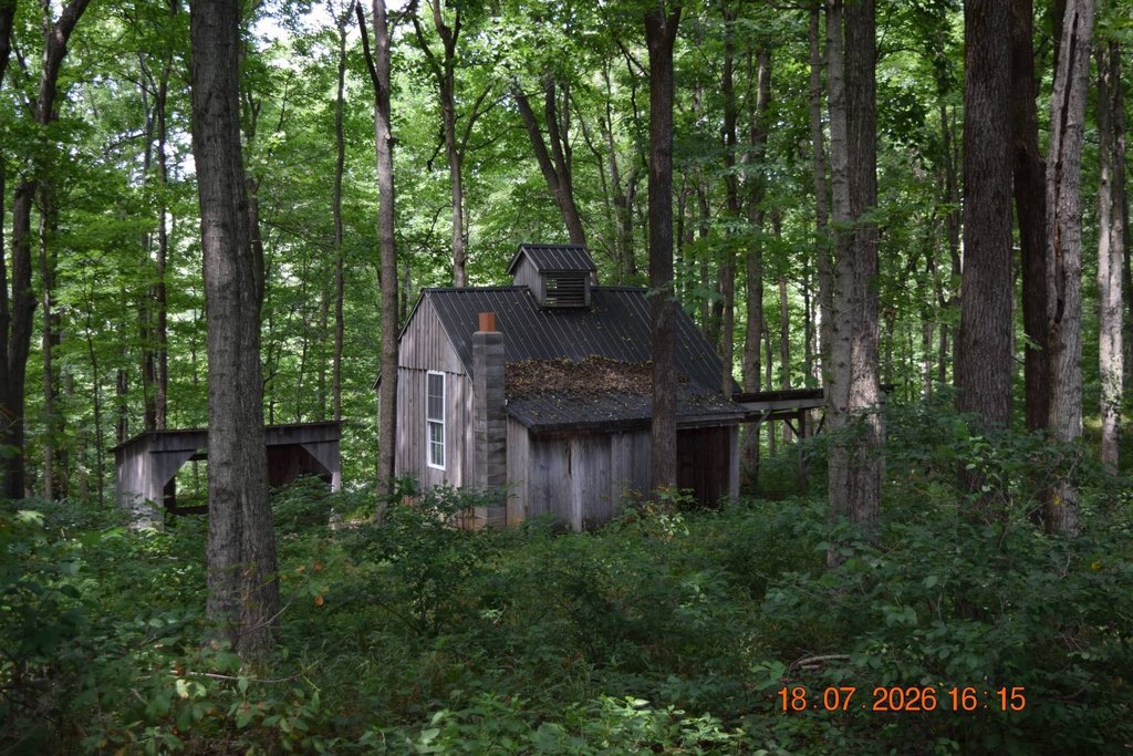 Picture 29