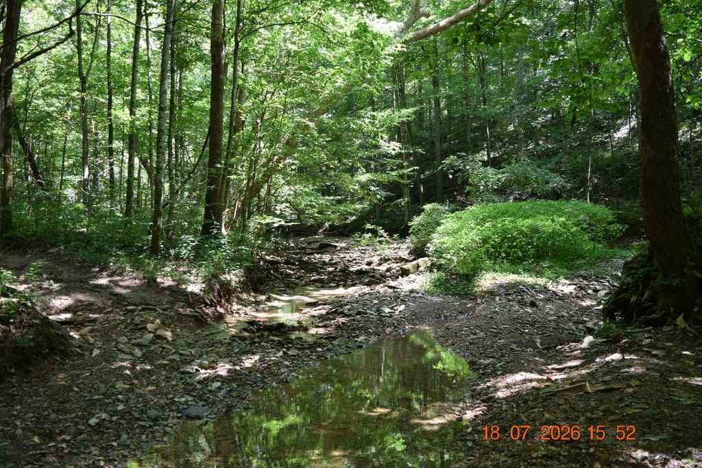 Picture 25