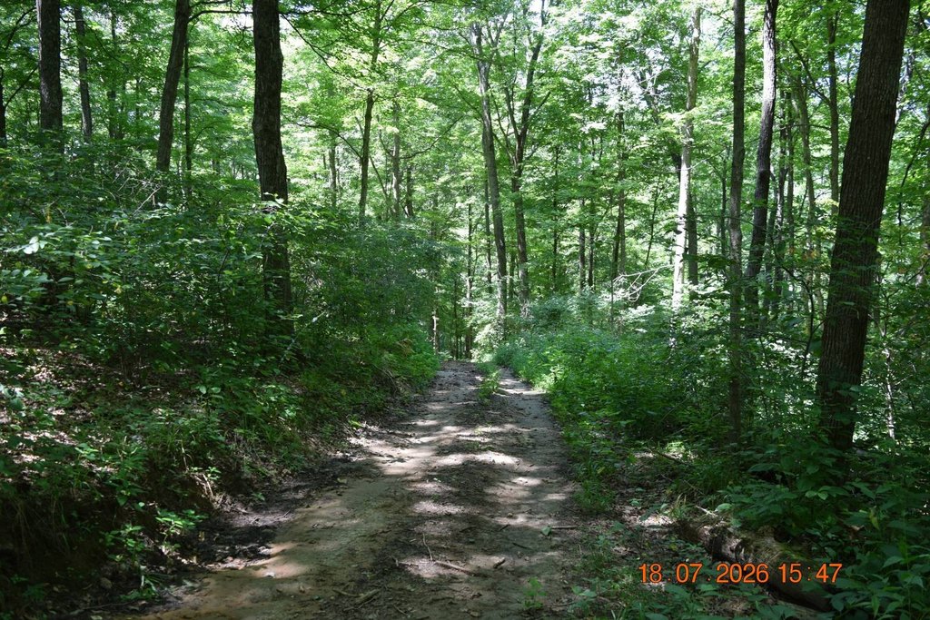 Picture 22