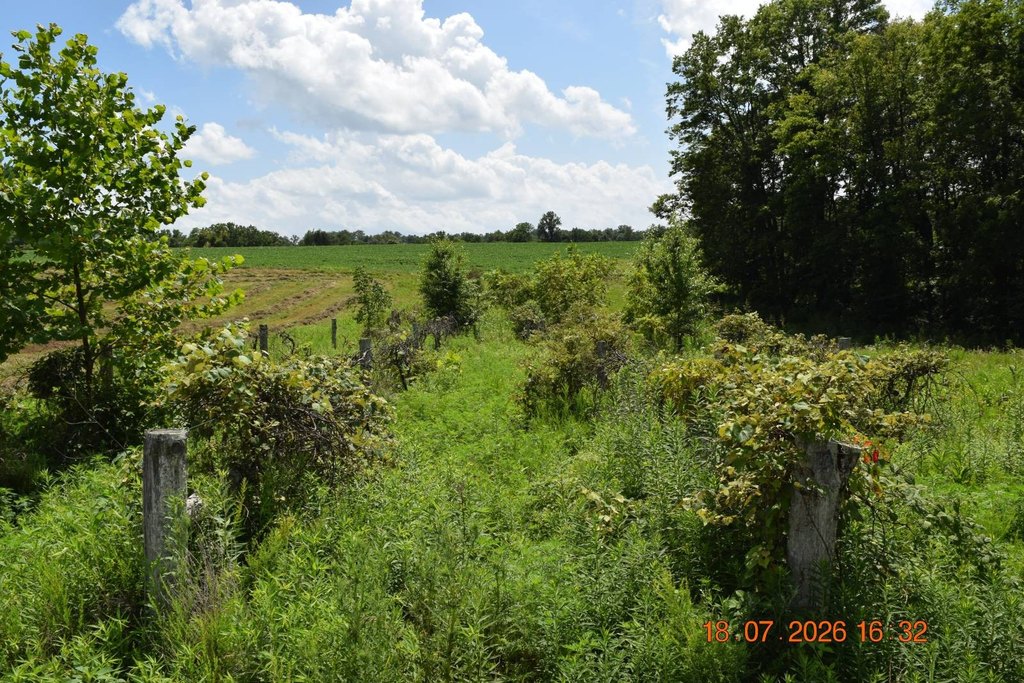 Picture 41