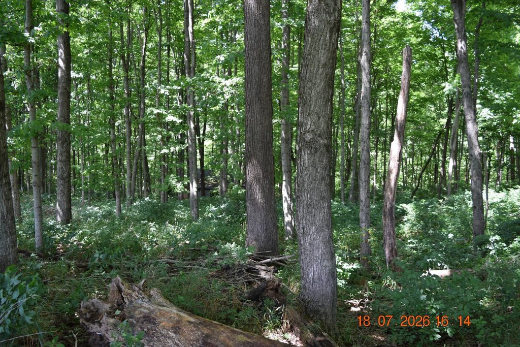Picture 35