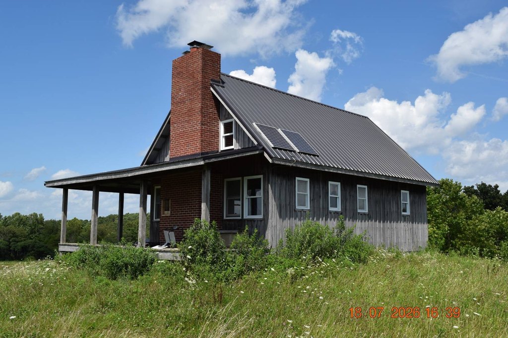 Picture 7