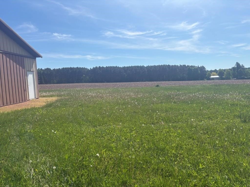 Picture 2