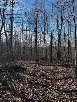 38.91 Acres in Jamestown, TN