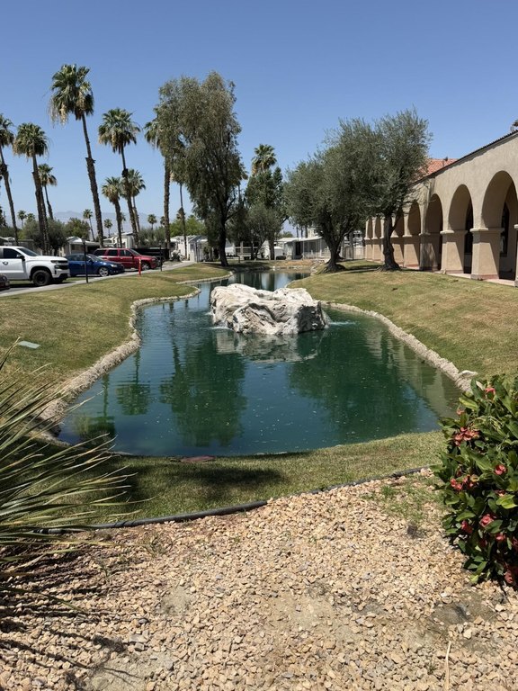 Picture 27