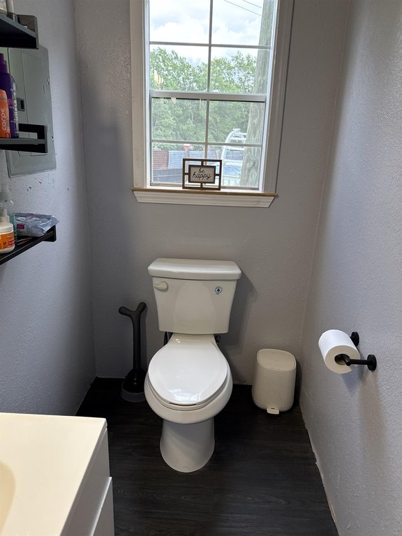 Picture 21