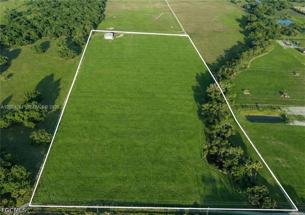 Picture 3