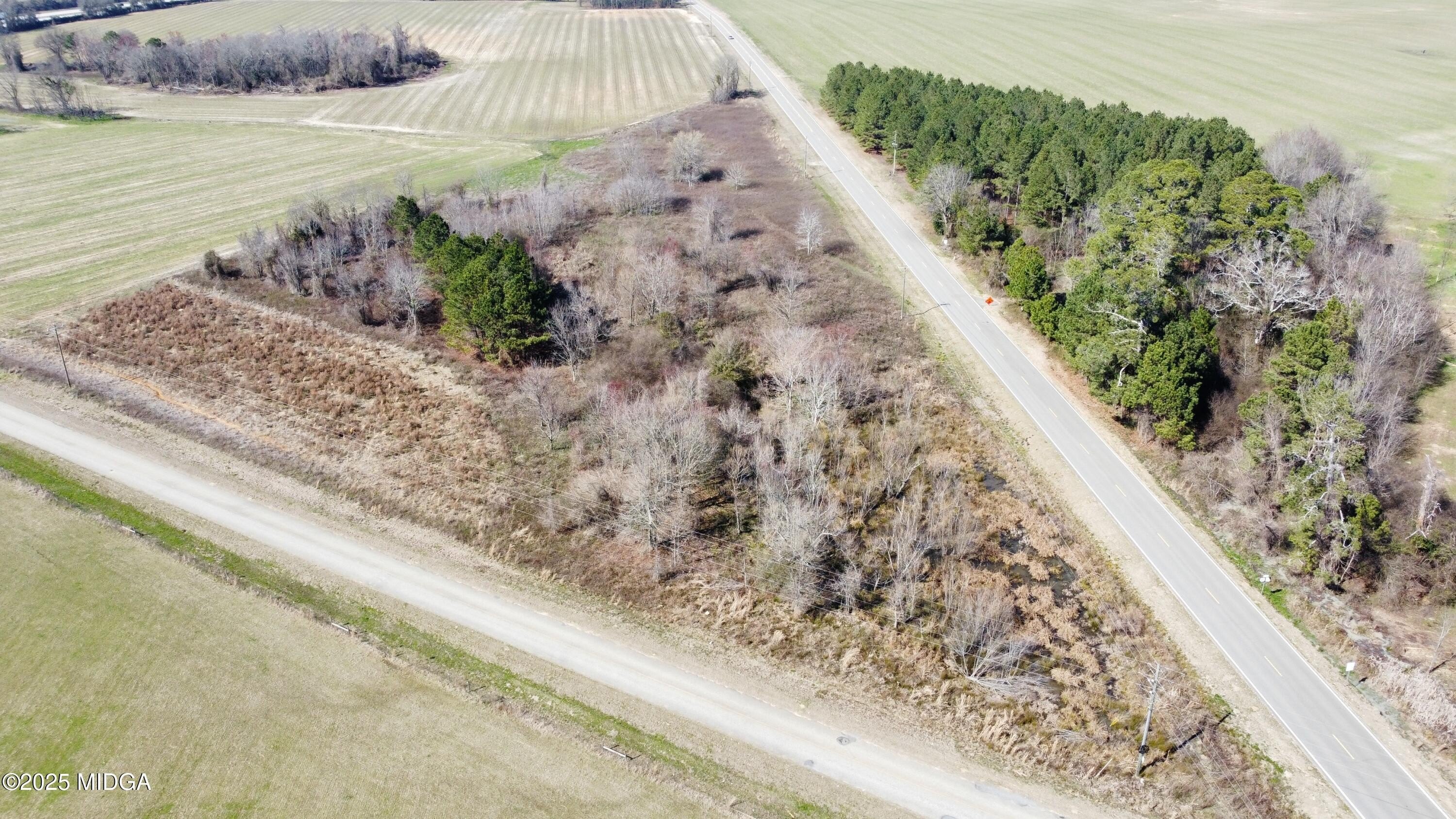 Spacious Land in Elko, GA