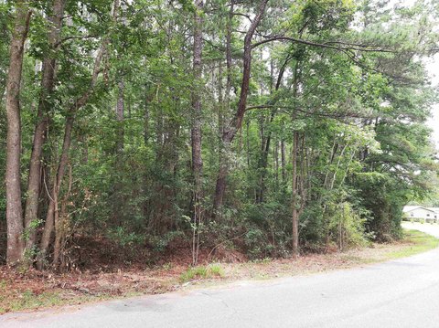 LAND - Monticello, FL