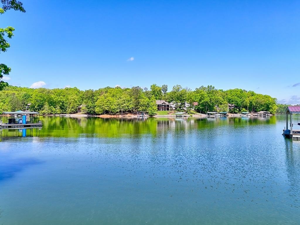 Lake Nottely Cove Land