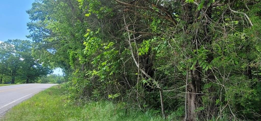Picture 31