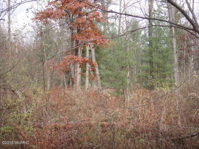 Picture 9
