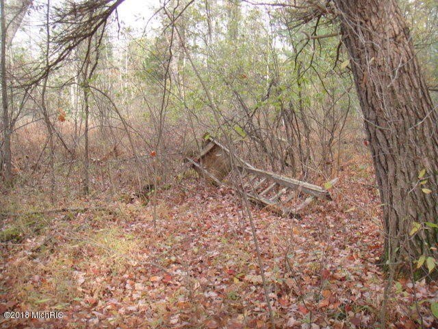 Picture 13