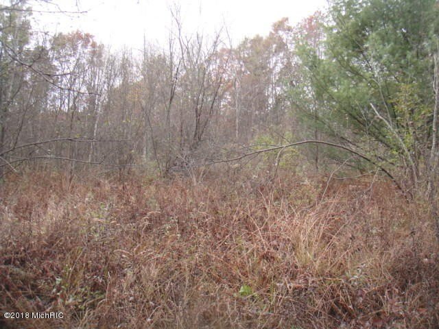 Picture 10