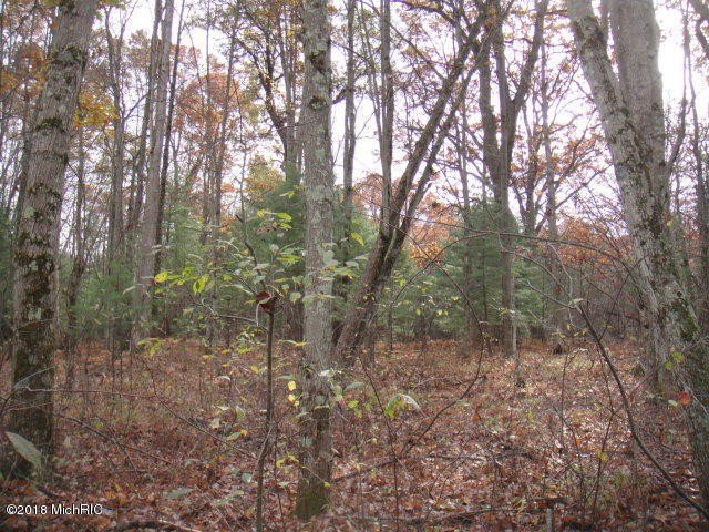 Picture 8