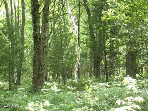 LAND - BITELY, MI