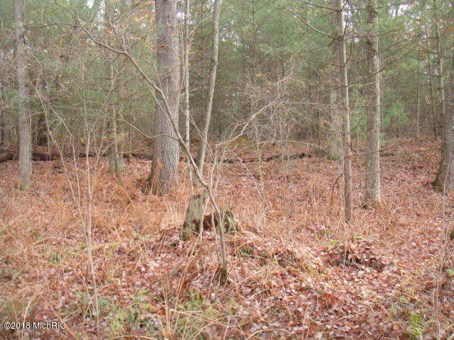 Picture 19