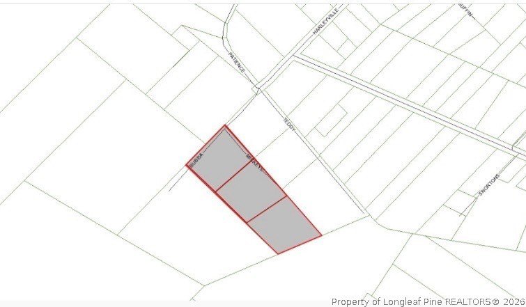 Undeveloped Land in Rowland, NC