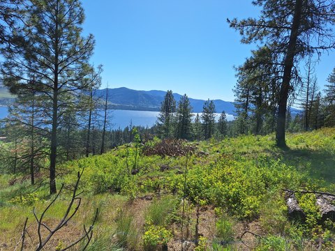 KETTLE FALLS Acreage with Views