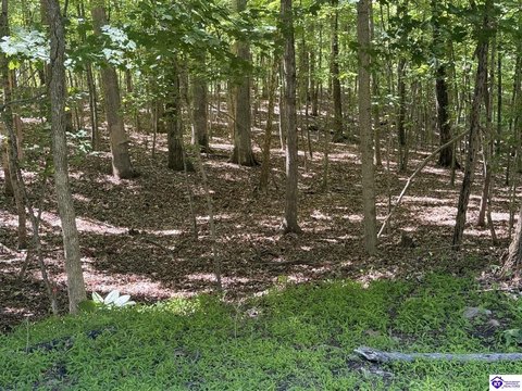 Residential Lot in Doe Valley