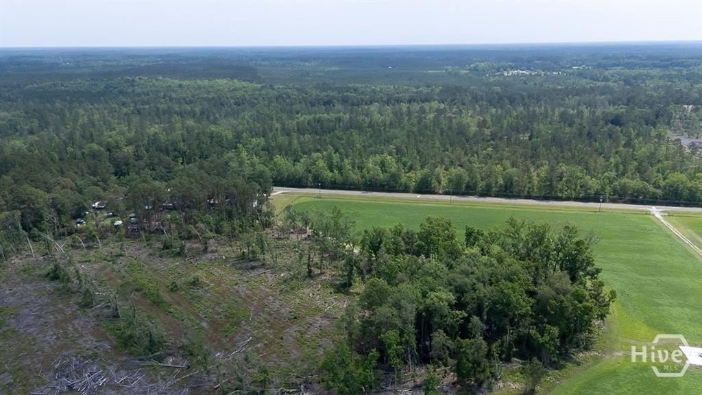 Picture 12