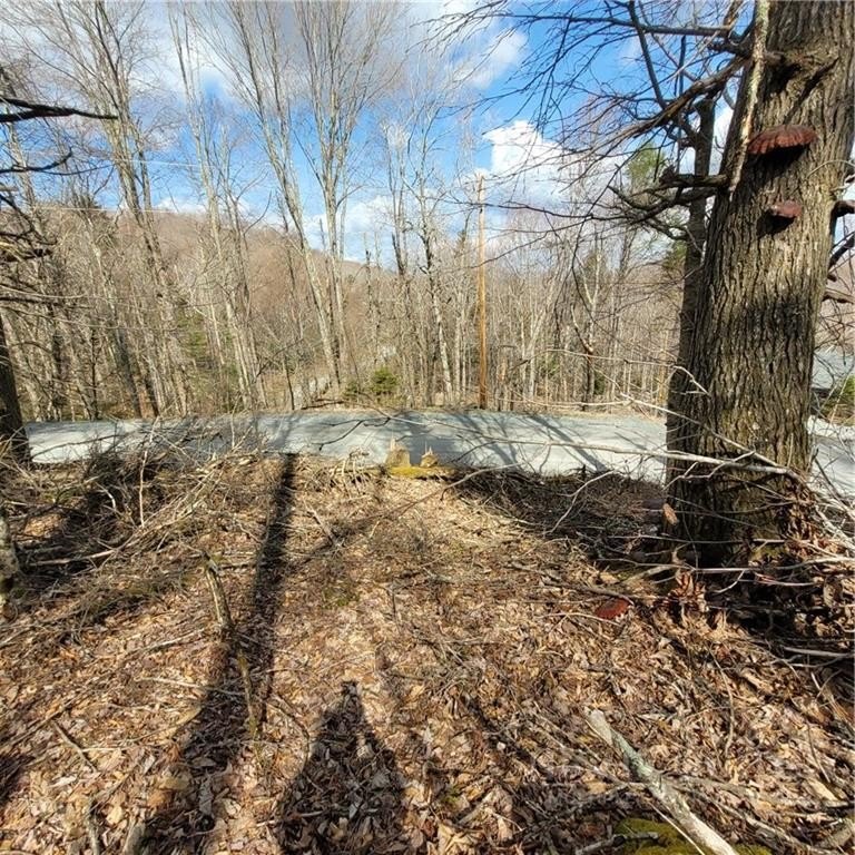 Buildable Lots in Beech Mountain